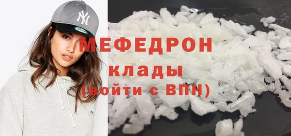 гидра Каменка