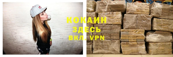 гидра Каменка