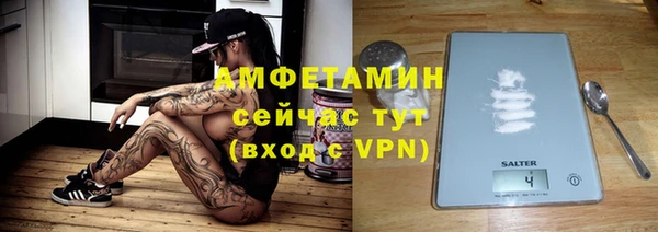 гидра Каменка