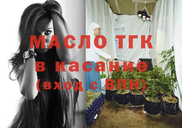 гидра Каменка