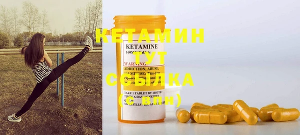 гидра Каменка