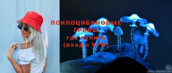 a pvp Каменногорск