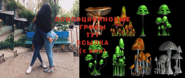 гидра Каменка