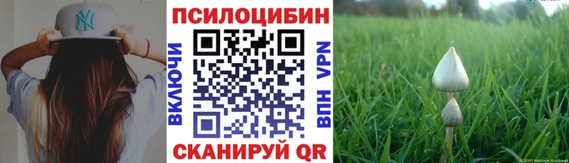 Псилоцибиновые грибы Psilocybe  Купить  Асино 