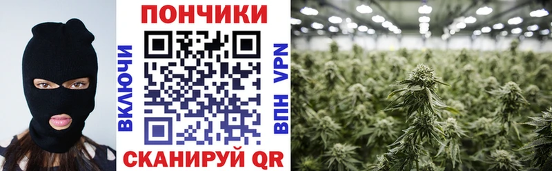 Шишки марихуана SATIVA & INDICA Асино